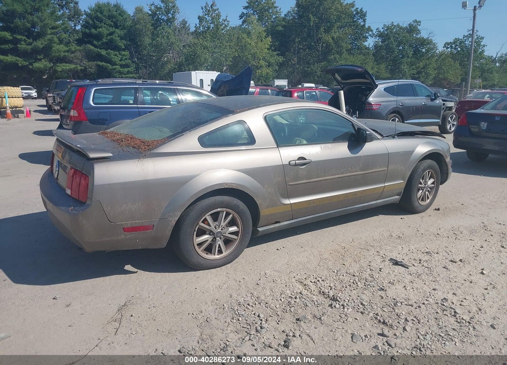 2005 FORD MUSTANG V6 DELUXE/V6 PREMIUM VIN: 1ZVFT80N655202196