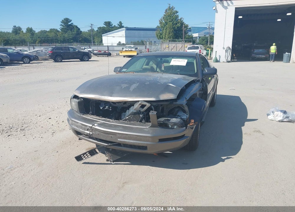 2005 FORD MUSTANG V6 DELUXE/V6 PREMIUM VIN: 1ZVFT80N655202196
