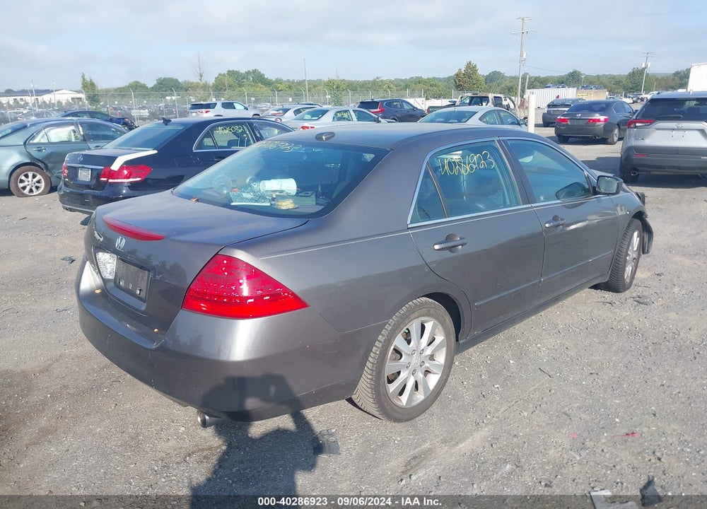 2006 HONDA ACCORD 3.0 EX VIN: 1HGCM66566A064491