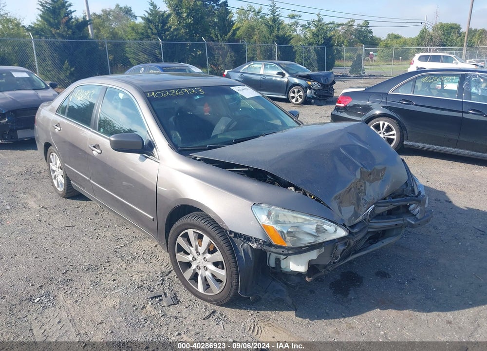 2006 HONDA ACCORD 3.0 EX VIN: 1HGCM66566A064491