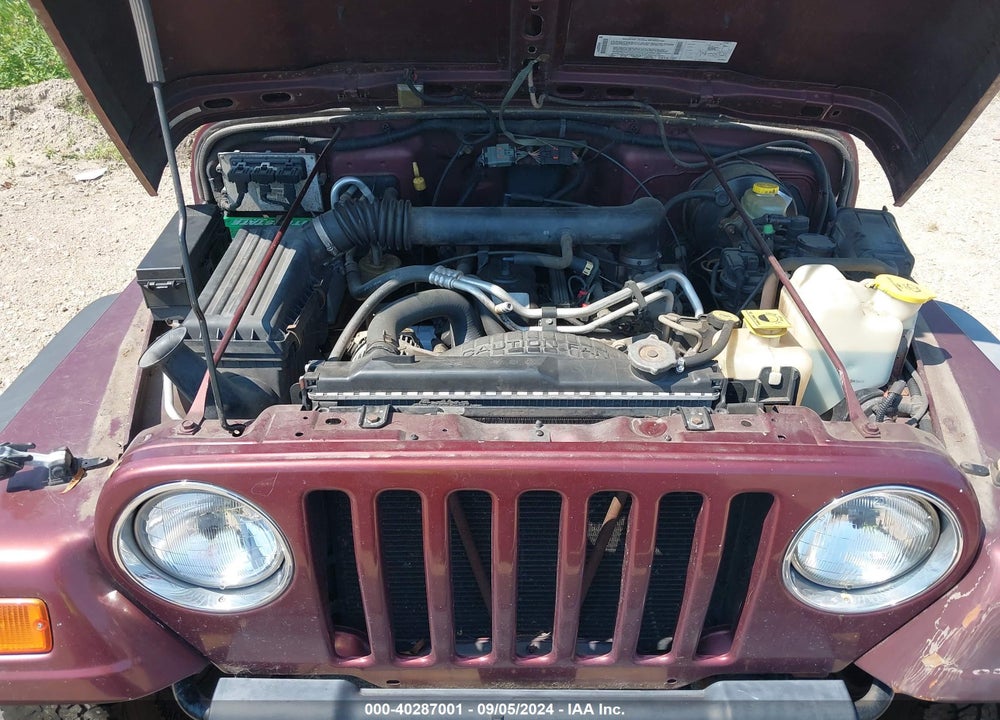 2002 JEEP WRANGLER X VIN: 1J4FA39S32P760456