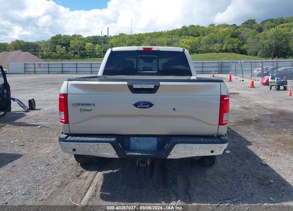 2017 FORD F-150 XLT VIN: 1FTEW1EP9HFB41559