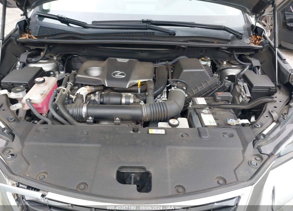 2020 LEXUS NX 300 VIN: JTJDARDZ8L2219922