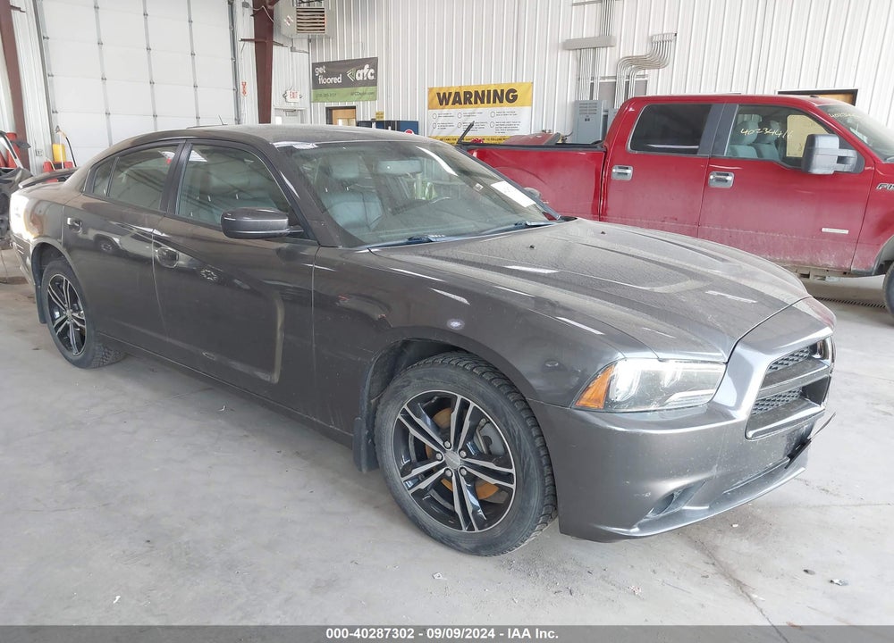 2014 DODGE CHARGER SXT PLUS VIN: 2C3CDXJG4EH224174