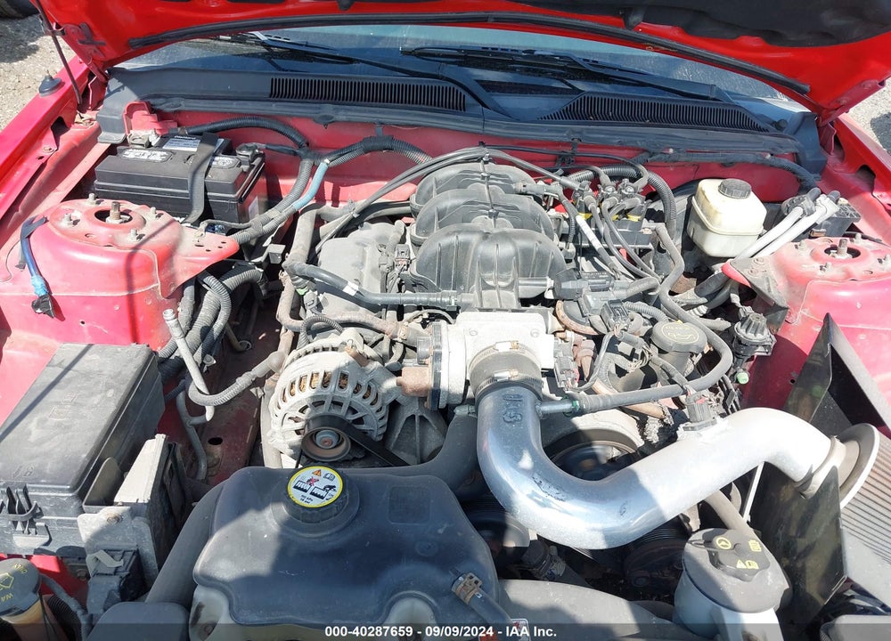2006 FORD MUSTANG V6 VIN: 1ZVFT84N865206441