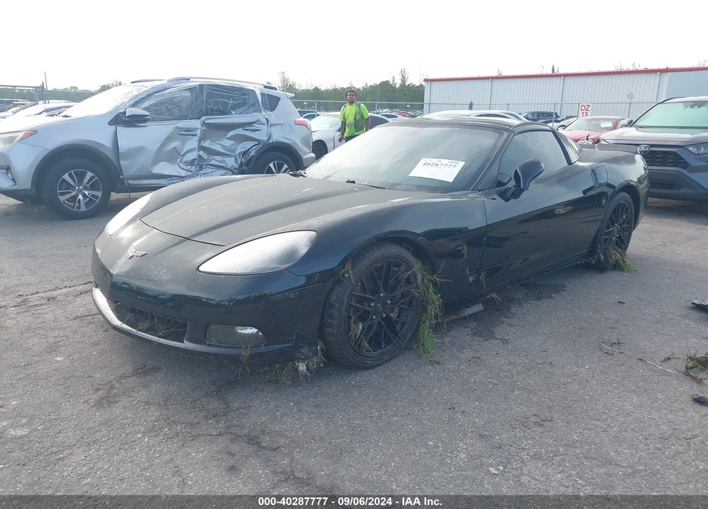 2005 CHEVROLET CORVETTE VIN: 1G1YY24UX55119164
