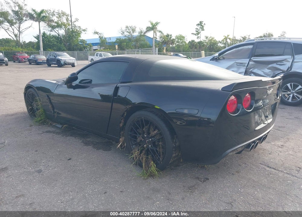 2005 CHEVROLET CORVETTE VIN: 1G1YY24UX55119164