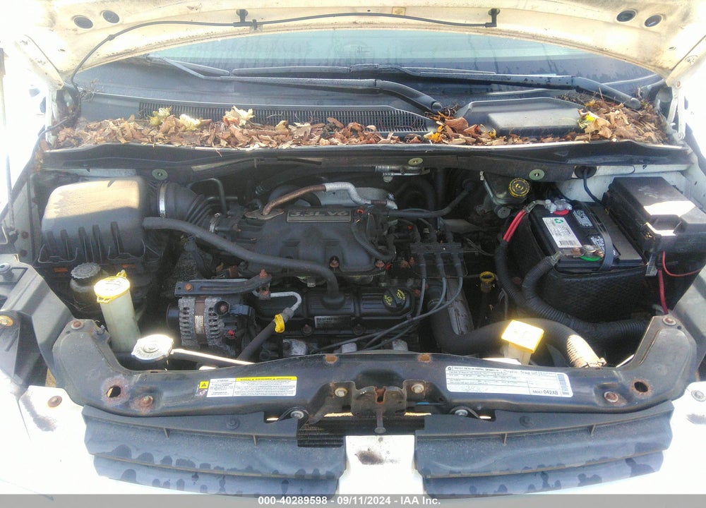 2010 DODGE GRAND CARAVAN SE VIN: 2D4RN4DEXAR410353