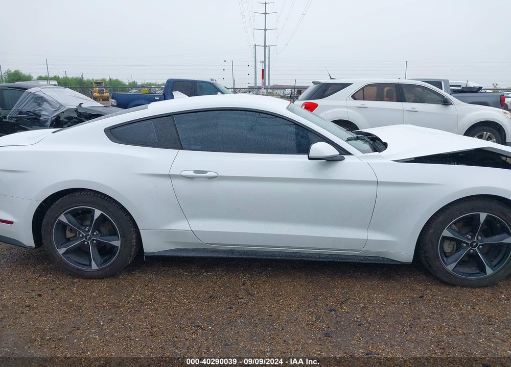 2022 FORD MUSTANG ECOBOOST FASTBACK VIN: 1FA6P8TH9N5141347