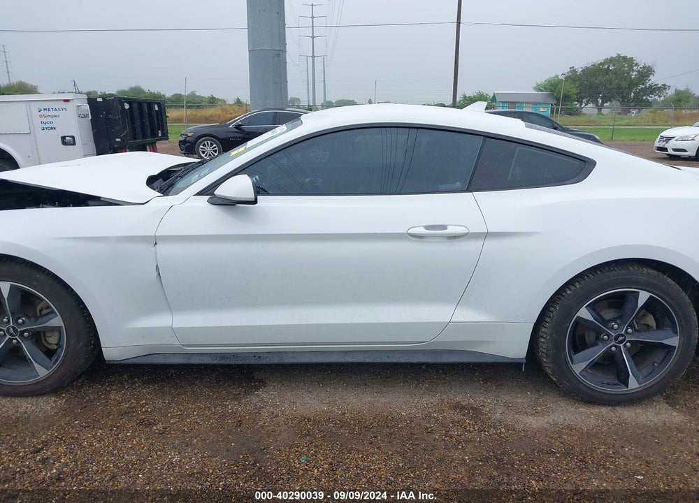 2022 FORD MUSTANG ECOBOOST FASTBACK VIN: 1FA6P8TH9N5141347