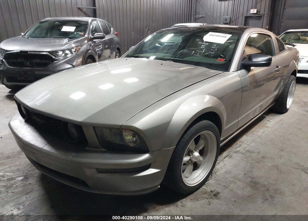 2009 FORD MUSTANG GT/GT PREMIUM VIN: 1ZVHT82H895110030