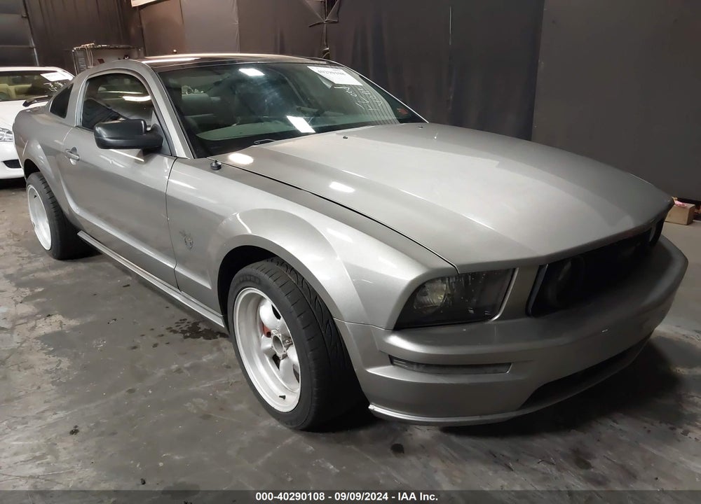 2009 FORD MUSTANG GT/GT PREMIUM VIN: 1ZVHT82H895110030