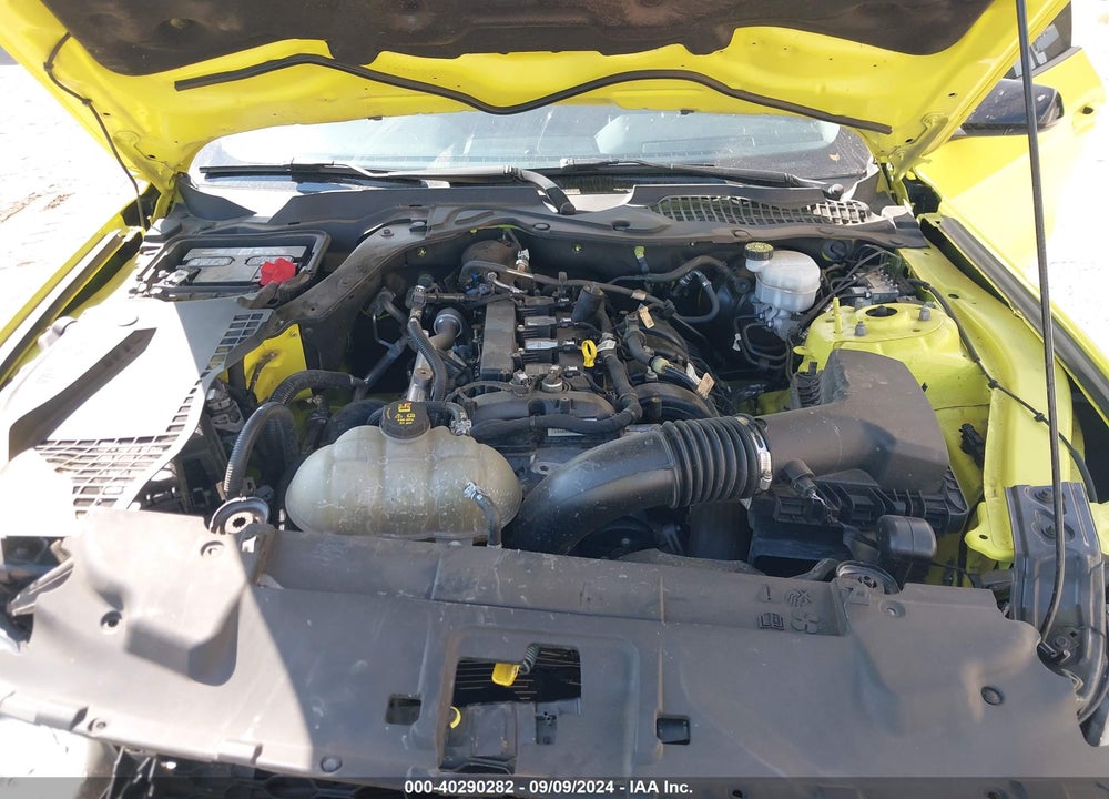 2021 FORD MUSTANG ECOBOOST FASTBACK VIN: 1FA6P8TH5M5110353