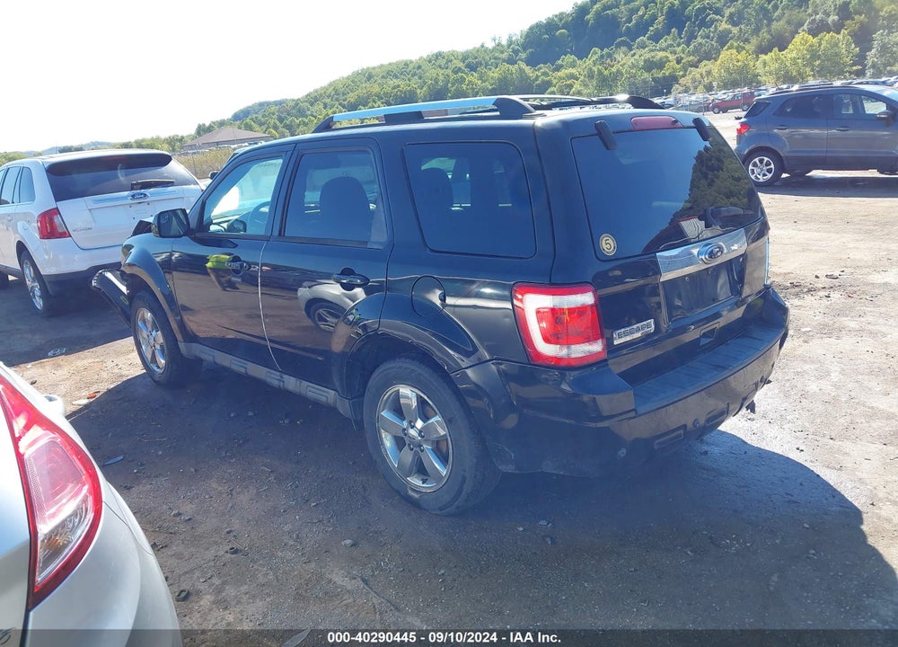 2010 FORD ESCAPE LIMITED VIN: 1FMCU9E7XAKD38308