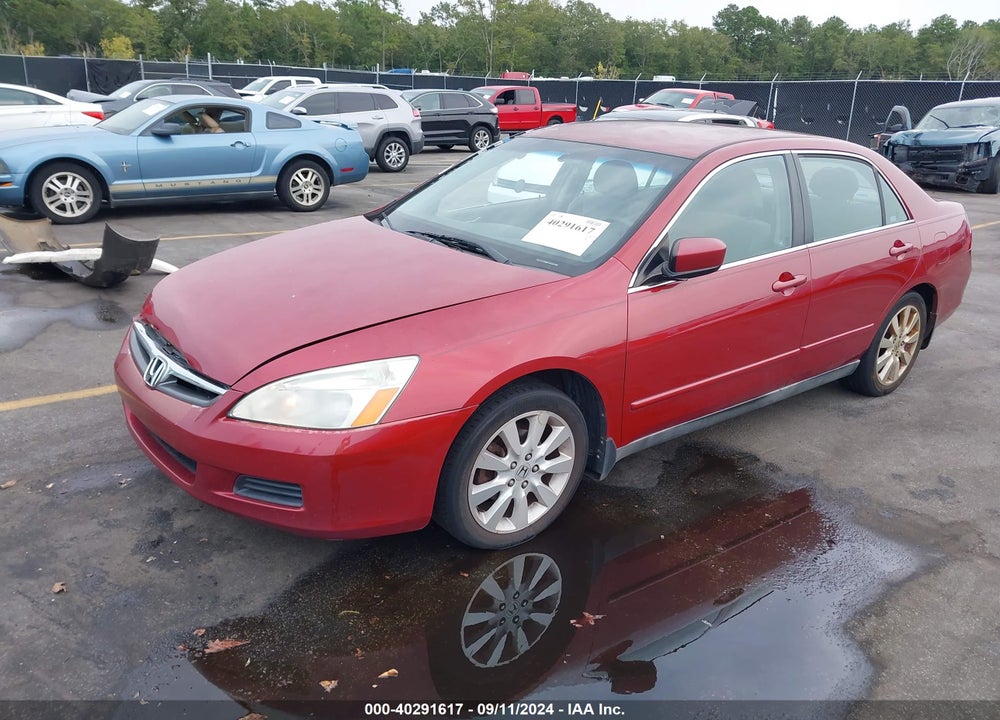 2007 HONDA ACCORD 3.0 SE VIN: 1HGCM66447A023799