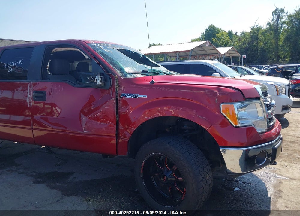 2014 FORD F-150 XLT VIN: 1FTFW1ETXEKE65561