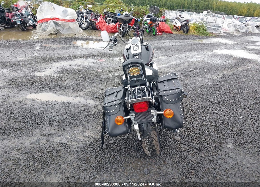 2001 HARLEY-DAVIDSON FXDWG VIN: 1HD1GEV161Y316020
