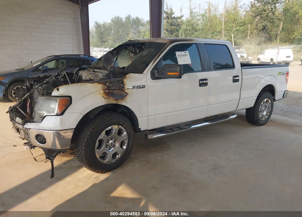 2009 FORD F-150 FX4/KING RANCH/LARIAT/PLATINUM/XL/XLT VIN: 1FTPW14V39FA48577