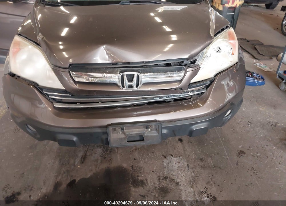 2009 HONDA CR-V EX-L VIN: 5J6RE48719L009149