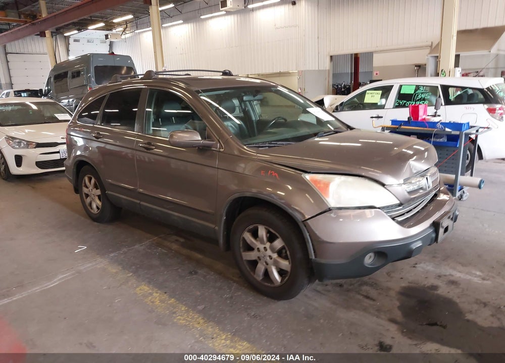 2009 HONDA CR-V EX-L VIN: 5J6RE48719L009149