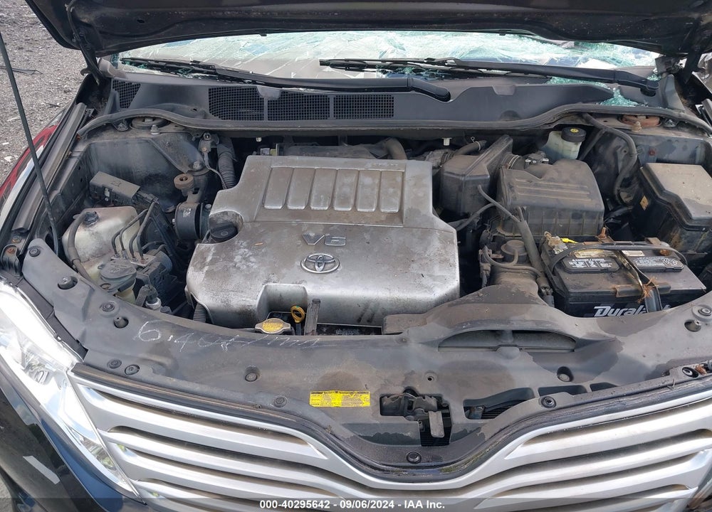 2009 TOYOTA VENZA BASE V6 VIN: 4T3BK11A09U001903