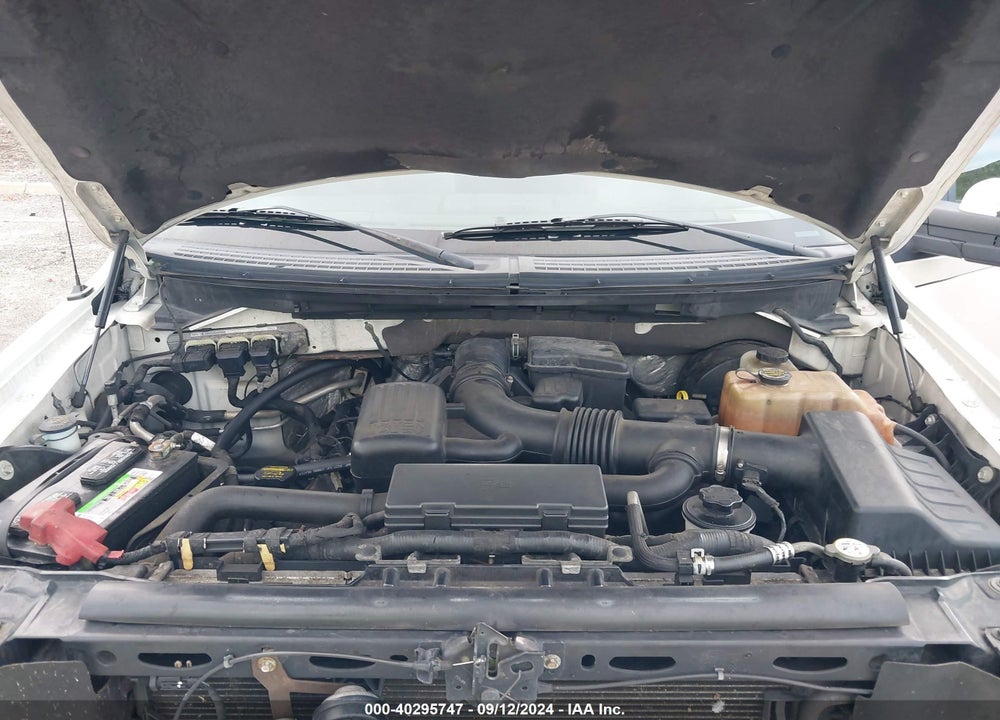 2009 FORD F-150 LARIAT/XL/XLT VIN: 1FTRX12V69FB05797