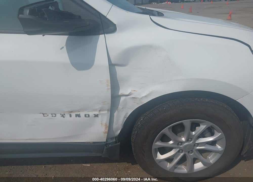2019 CHEVROLET EQUINOX LS VIN: 3GNAXSEV5KS558753