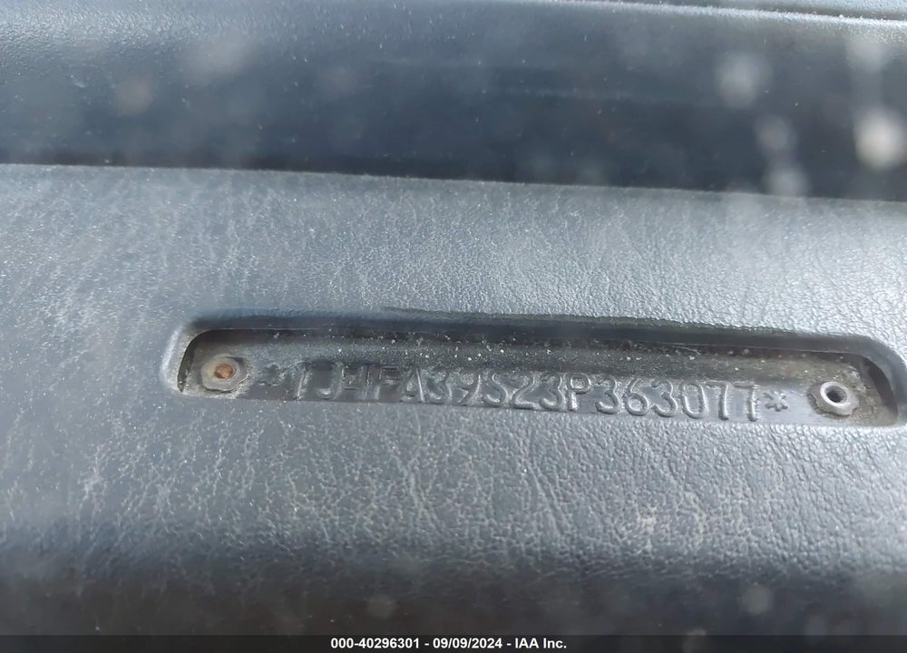 2003 JEEP WRANGLER X VIN: 1J4FA39S23P363077