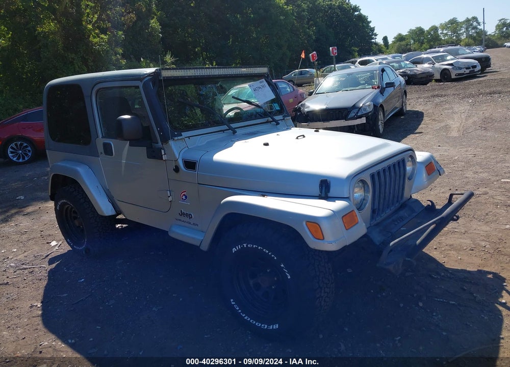 2003 JEEP WRANGLER X VIN: 1J4FA39S23P363077