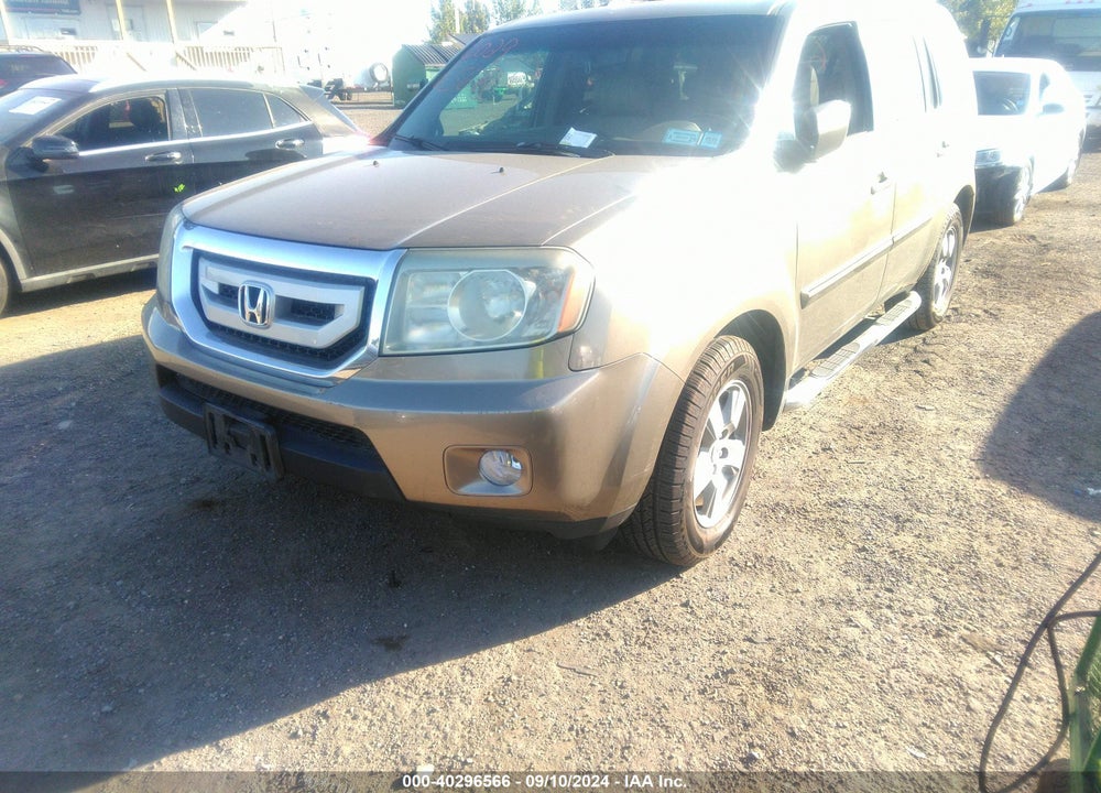 2011 HONDA PILOT EX-L VIN: 5FNYF4H65BB030939