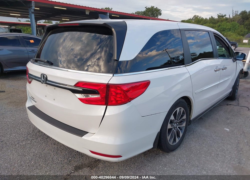 2024 HONDA ODYSSEY VIN: 5FNRL6H6XRB007868