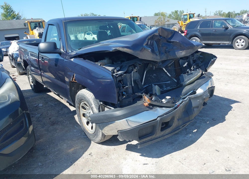 2006 CHEVROLET SILVERADO 1500 WORK TRUCK VIN: 1GCEC14X46Z113884