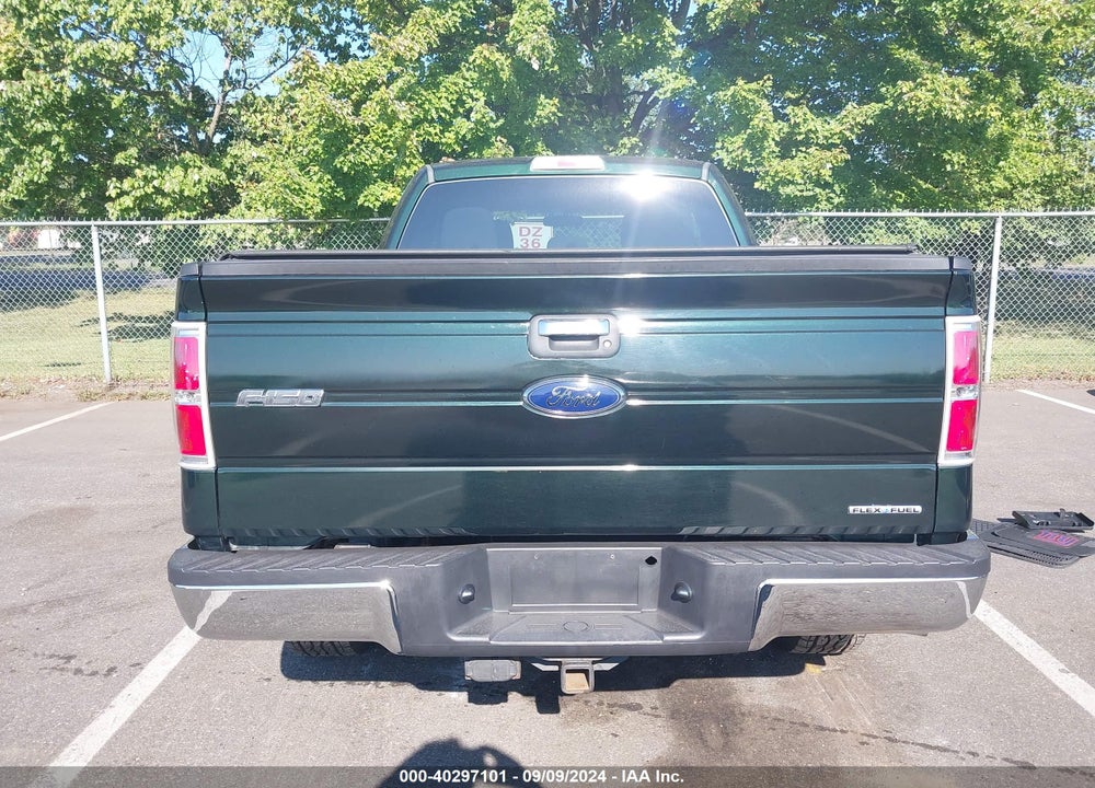 2013 FORD F-150 XLT VIN: 1FTFX1EFXDFC33301