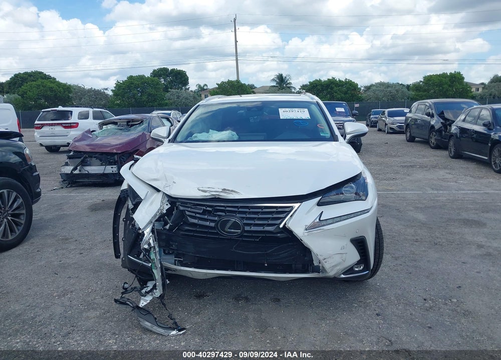 2021 LEXUS NX 300 VIN: JTJDARBZ8M5020744