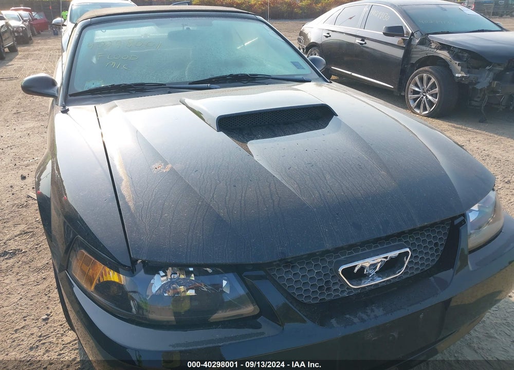 2004 FORD MUSTANG GT VIN: 1FAFP45X94F201844
