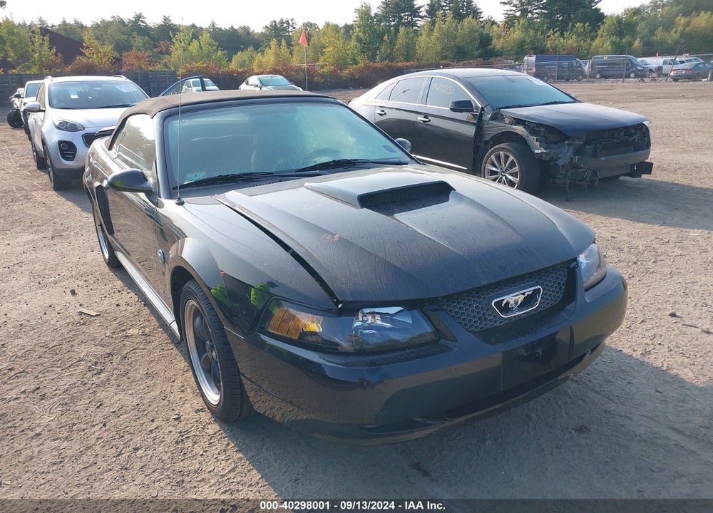 2004 FORD MUSTANG GT VIN: 1FAFP45X94F201844