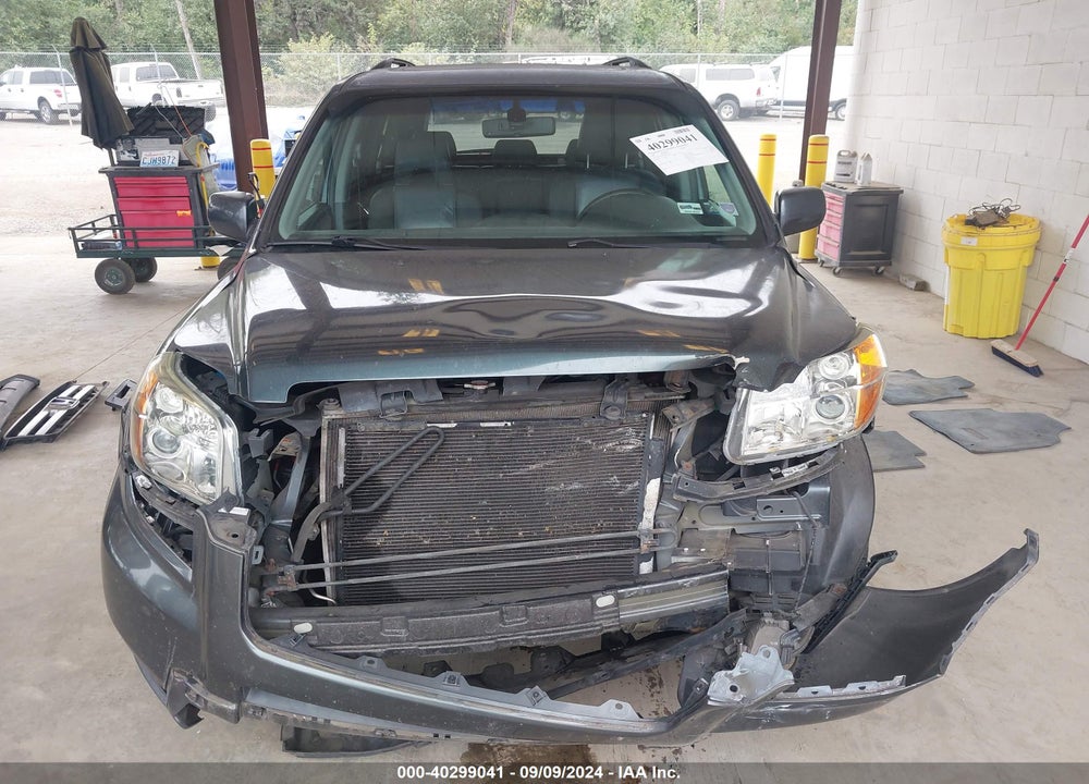 2006 HONDA PILOT EX-L VIN: 5FNYF28516B042359
