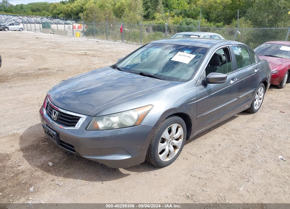 2010 HONDA ACCORD VIN: 1HGCP2F71AA061234