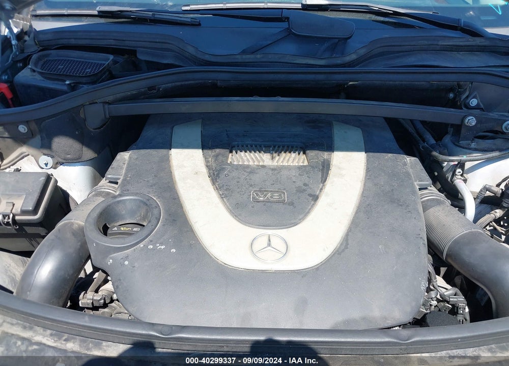 2009 MERCEDES-BENZ GL 450 4MATIC VIN: 4JGBF71E19A480398