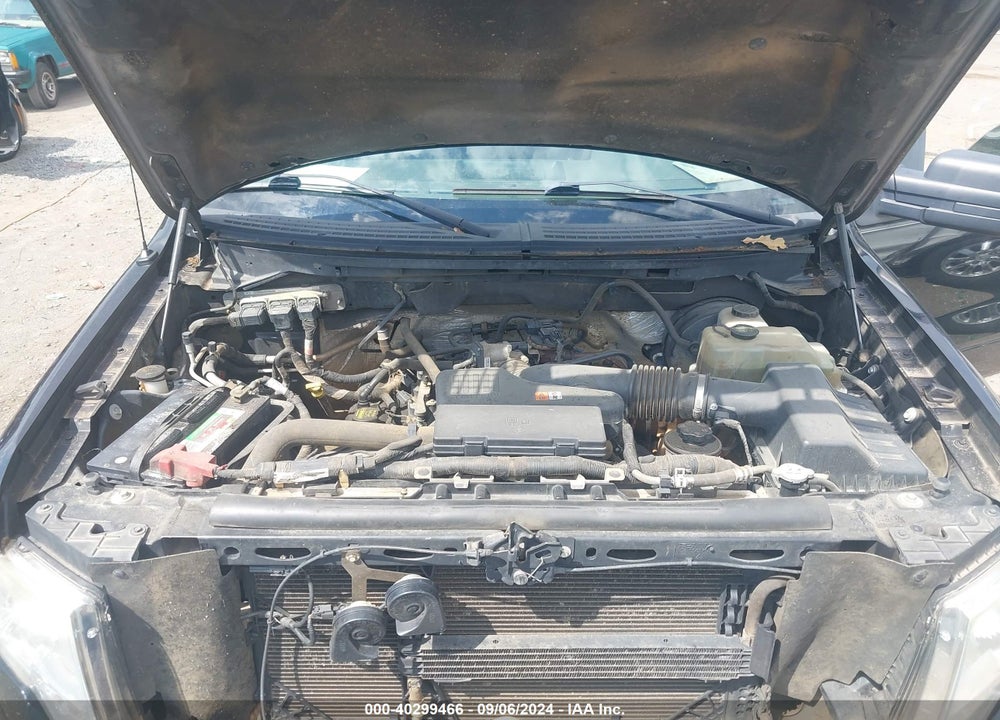2009 FORD F-150 STX/XL VIN: 1FTRX14W39FA85479