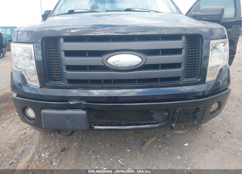 2009 FORD F-150 STX/XL VIN: 1FTRX14W39FA85479