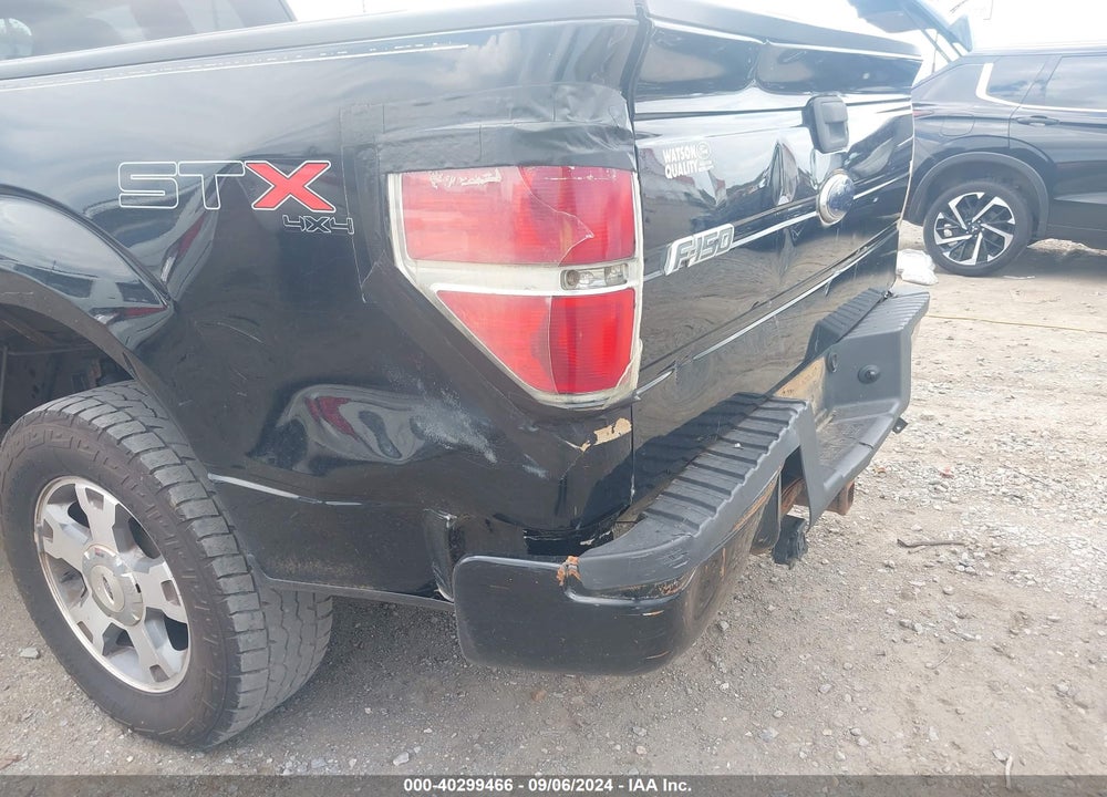 2009 FORD F-150 STX/XL VIN: 1FTRX14W39FA85479