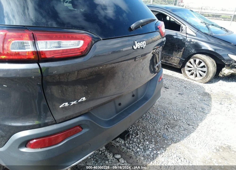 2014 JEEP CHEROKEE LIMITED VIN: 1C4PJMDB6EW290134