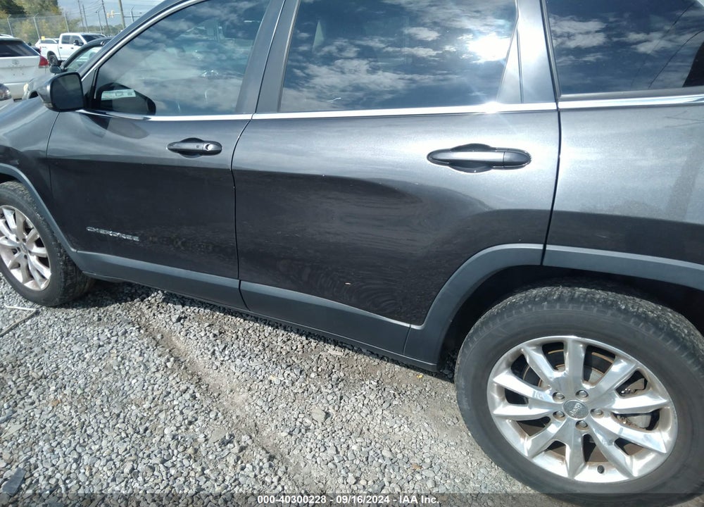 2014 JEEP CHEROKEE LIMITED VIN: 1C4PJMDB6EW290134