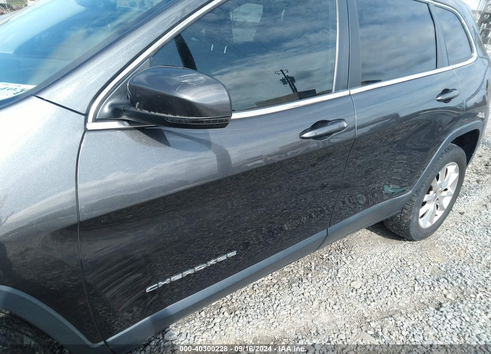 2014 JEEP CHEROKEE LIMITED VIN: 1C4PJMDB6EW290134