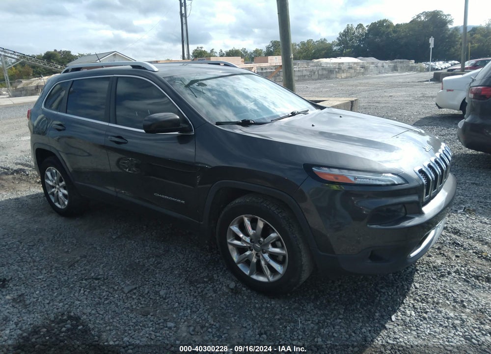2014 JEEP CHEROKEE LIMITED VIN: 1C4PJMDB6EW290134