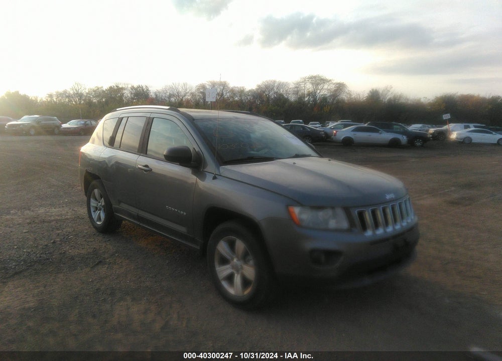 2011 JEEP COMPASS VIN: 1J4NF1FB9BD282275