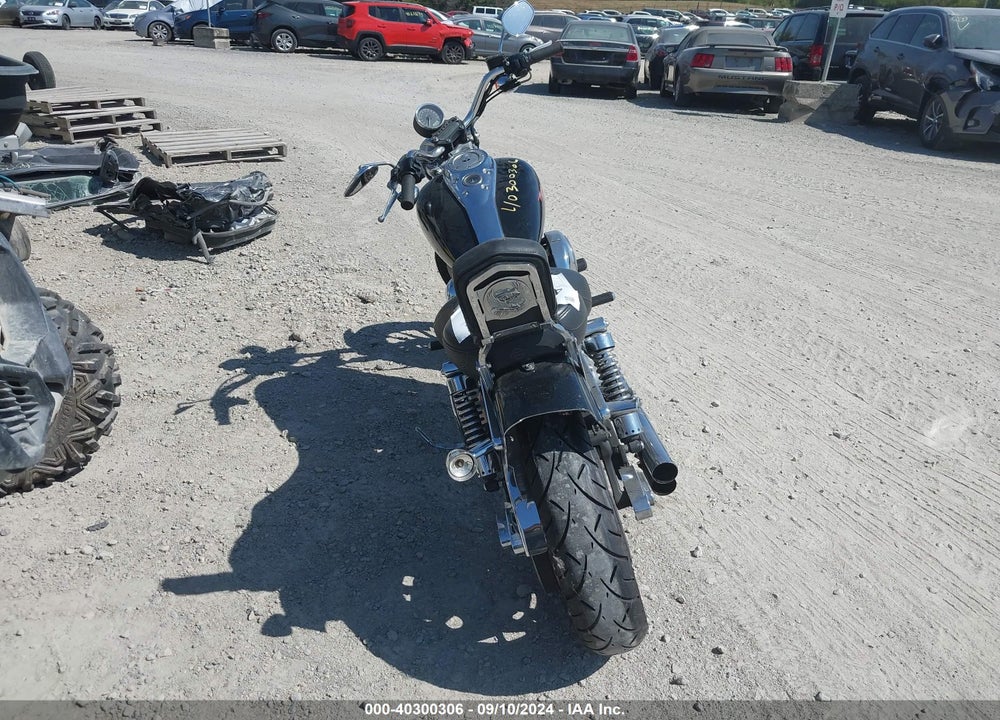 2004 HARLEY-DAVIDSON FXDI VIN: 1HD1GMW134K304021