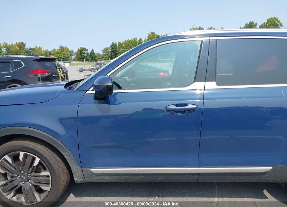 2024 KIA TELLURIDE SX PRESTIGE VIN: 5XYP5DGC2RG420387