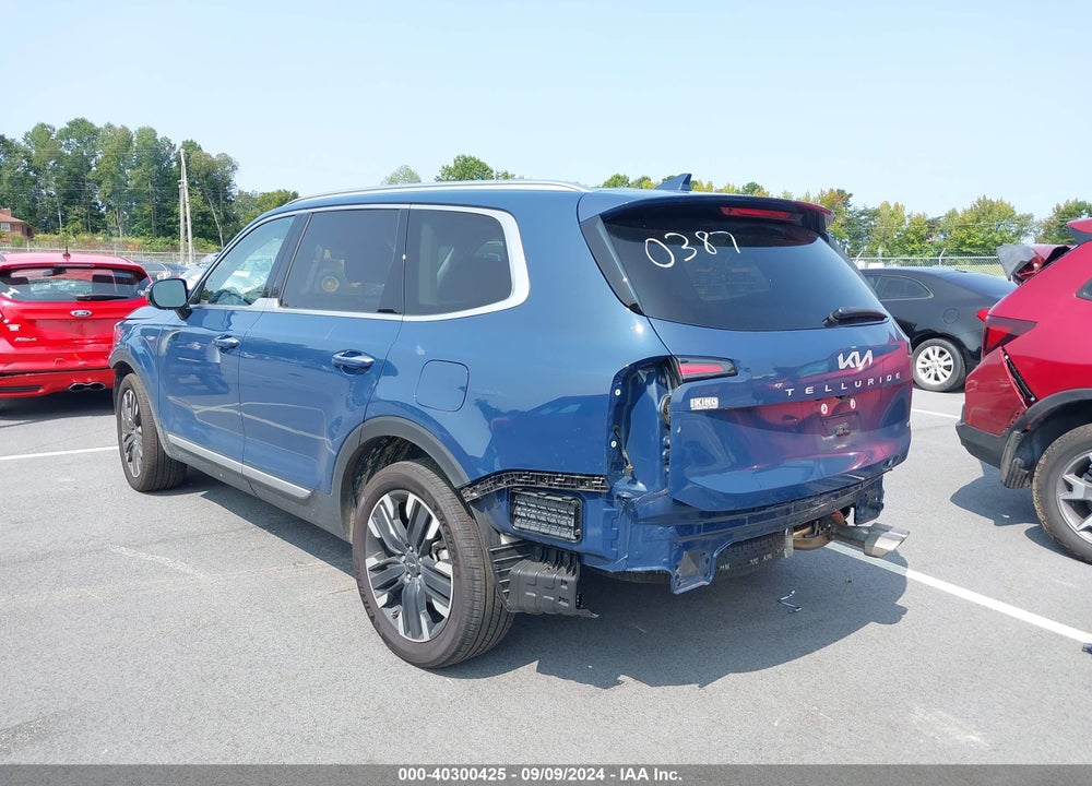 2024 KIA TELLURIDE SX PRESTIGE VIN: 5XYP5DGC2RG420387